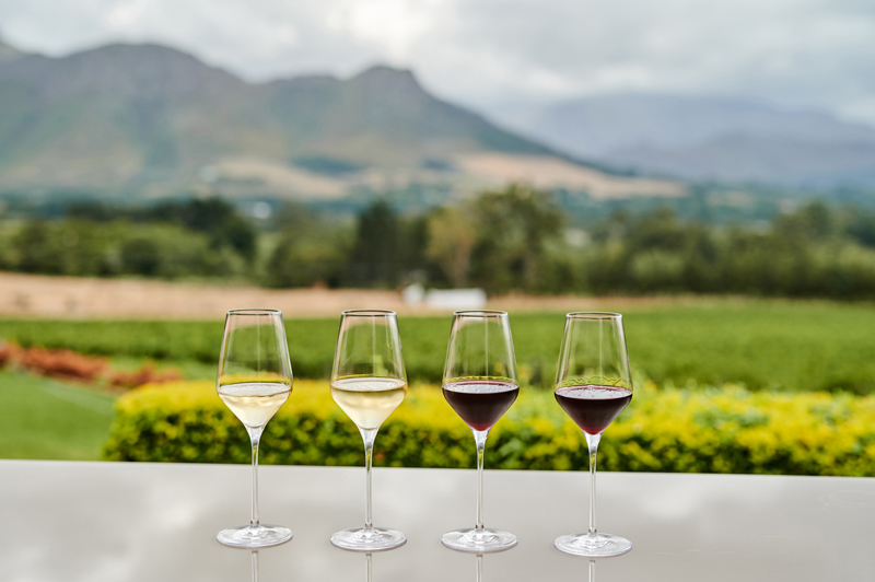 Δοκιμάστε τα εκλεκτά κρασιά της χώρας