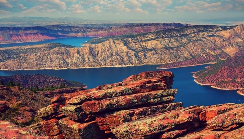 Το ιδιαίτερο Φλέιμινγκ Γκορτζ