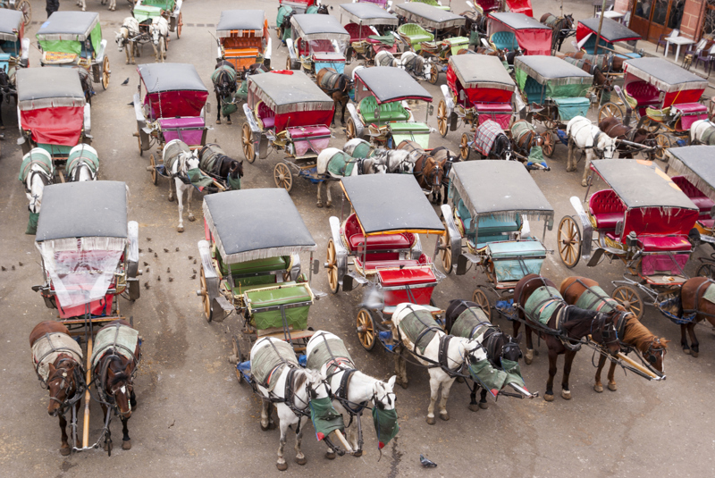 Εκδρομή σε Πρίγκιπο και Χάλκη 