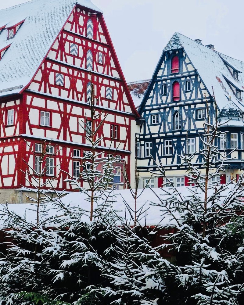 Γνωρίζουμε τον Μέλανα Δρυμό