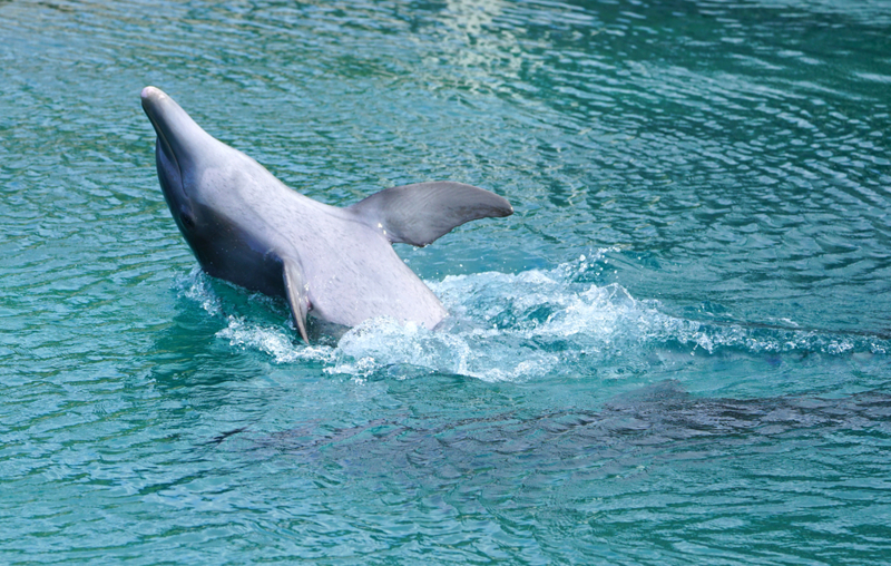  Άφιξη σε Αθήνα/Θεσσαλονίκη/Λάρνακα