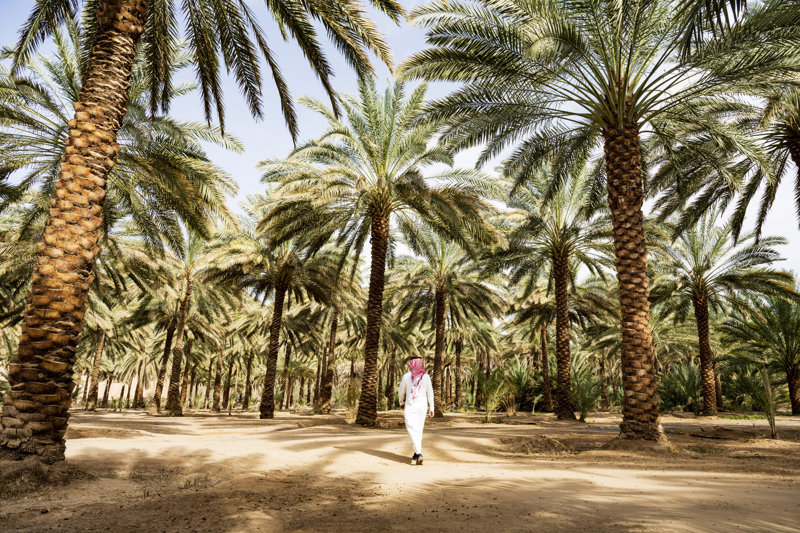 Το μονοπάτι Al Ula Oasis Trail