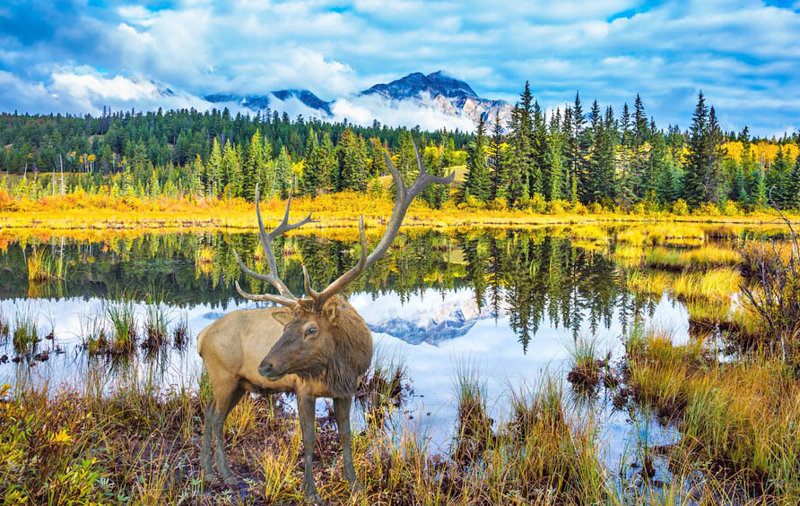 Ο φημισμένος δρόμος του Καναδά 