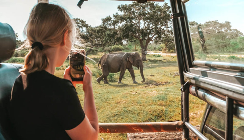 Σερενγκέτι