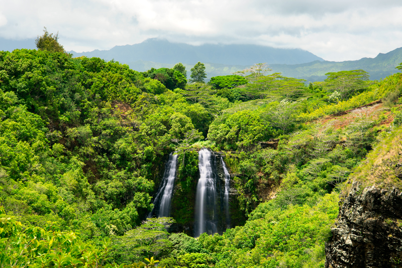 Opaeka'a Falls, Kauai, ΗΠΑ