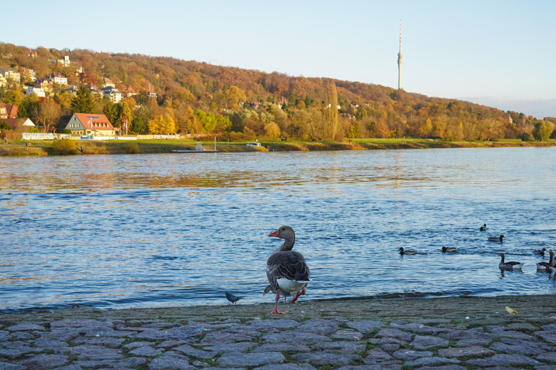 Το ψαροχώρι Λόζβιτς