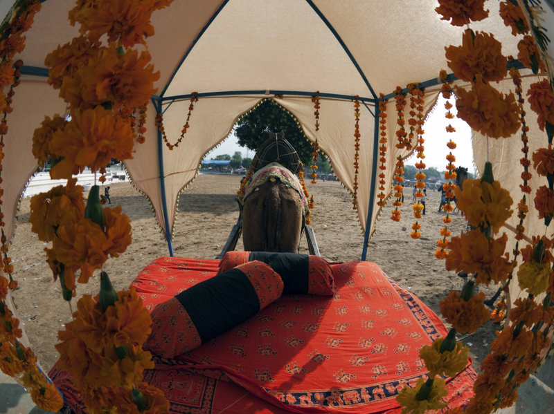 Διανυκτερεύουμε σε σκηνή στην Λευκή Έρημο του Ραν!