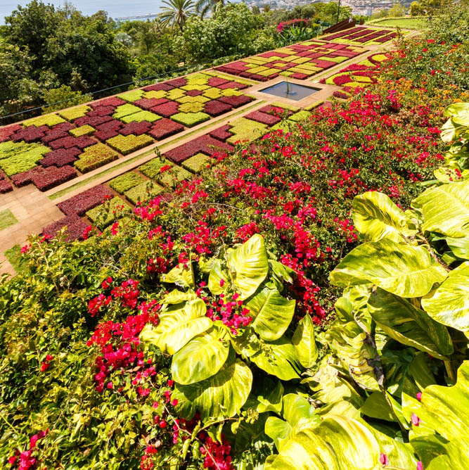 Ανάβαση στο Μόντε της Φουντσάλ με τελεφερίκ