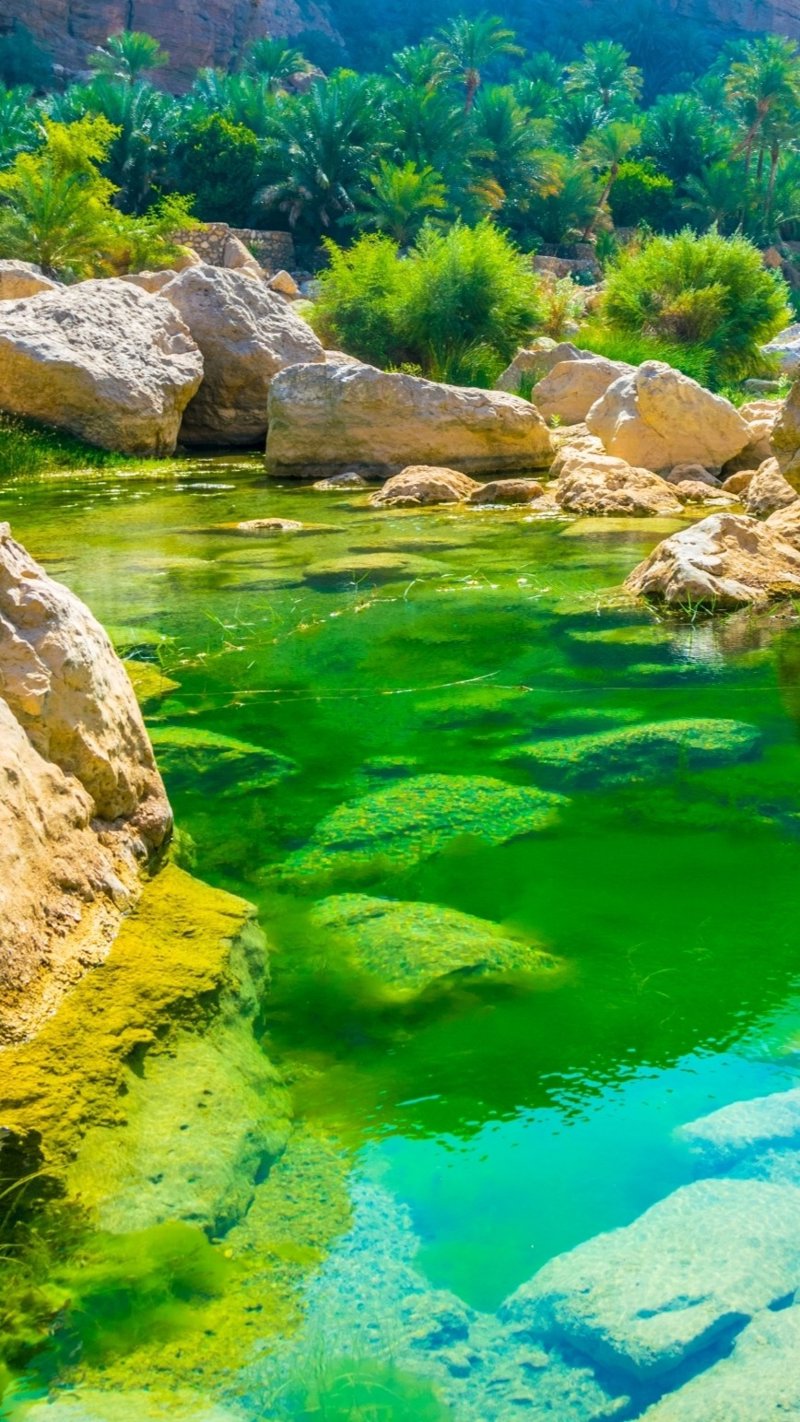 Διήμερη εκδρομή στην κοιλάδα Ουάντι Τίβι