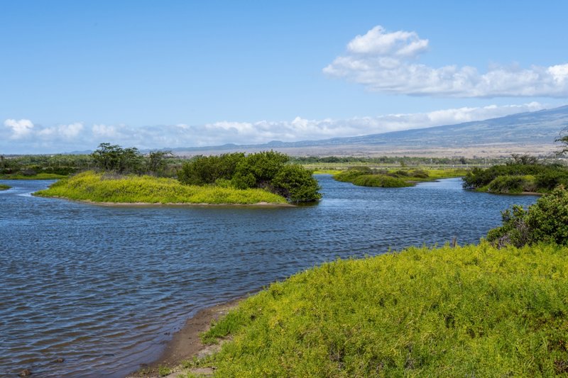 Το Εθνικό Καταφύγιο Άγριας Ζωής Kealia Pond 