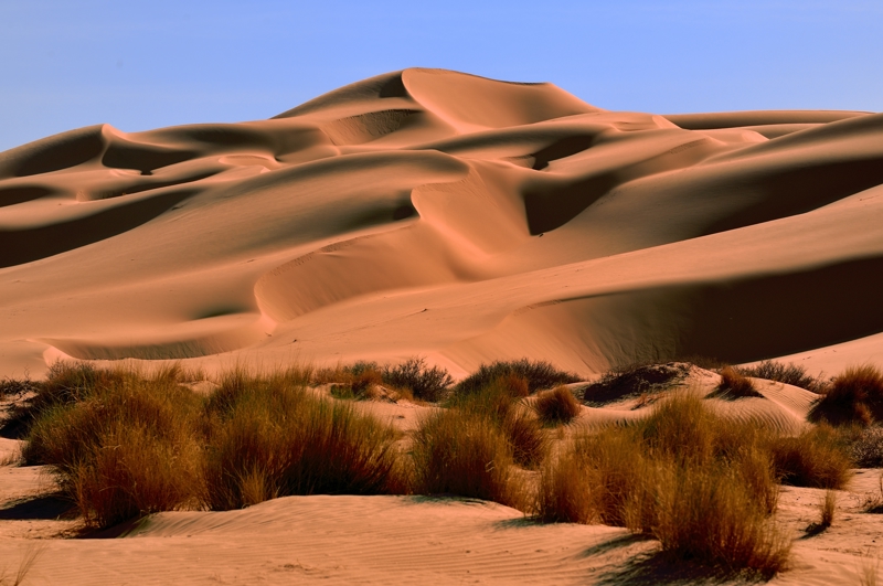 Οι ωχροί αμμόλοφοι του Εργκ Αντμέρ 