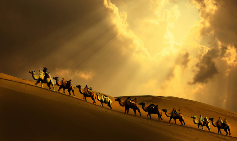 Αμμόλοφοι Κόνγκορ