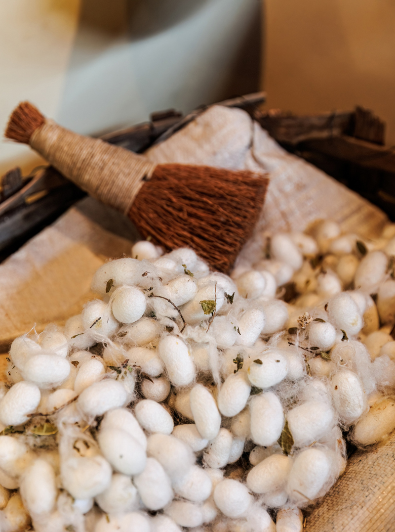 Επίσκεψη στο Μουσείο Μεταξιού Σουφλίου