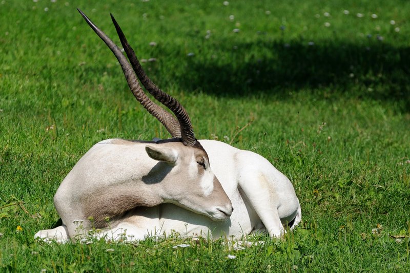 Επίσκεψη στο φυσικό καταφύγιο ΟΡΟΑ