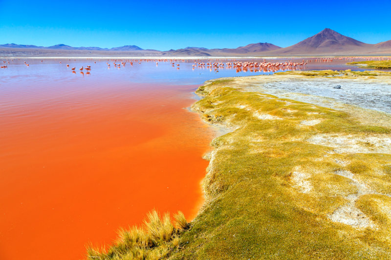 ΣΑΝ ΠΕΔΡΟ ΝΤΕ ΑΤΑΚΑΜΑ – ΕΘΝΙΚΟ ΠΑΡΚΟ ΑΒΑΡΟΑ (ΒΟΛΙΒΙΑ) – ΕΡΗΜΟΣ ΣΙΛΟΛΙ (ΟΧΟ ΝΤΕ ΠΕΡΔΙΣ)