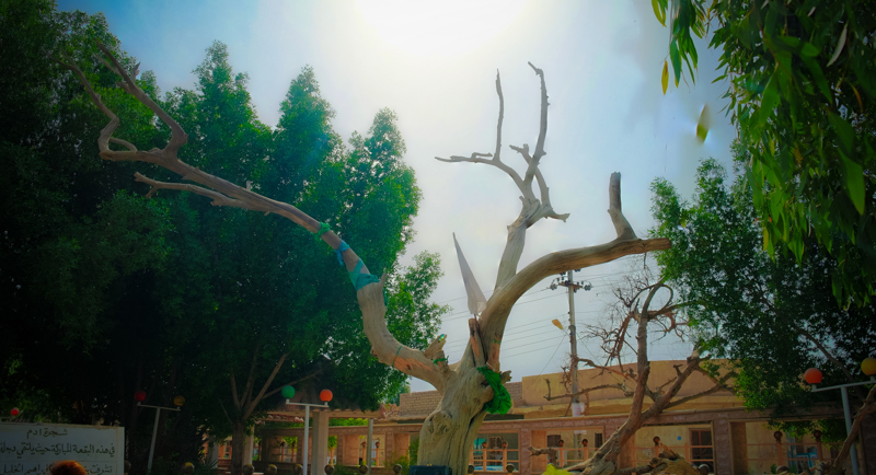 Κούρνα, η περιοχή του Κήπου της Εδέμ