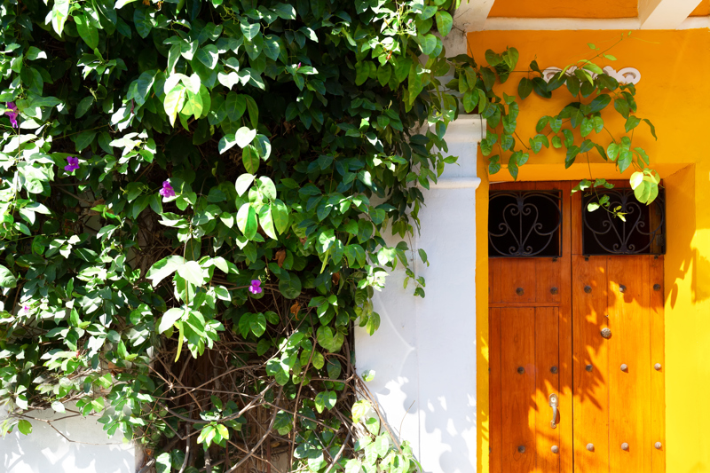 Βόλτα στην εναλλακτική περιοχή Γκετσεμάνι