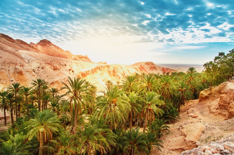 Όαση Τσεμπίκα