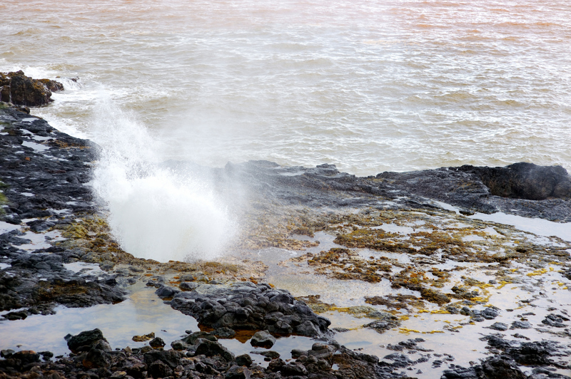 Το Σπάουτινγκ Χορν