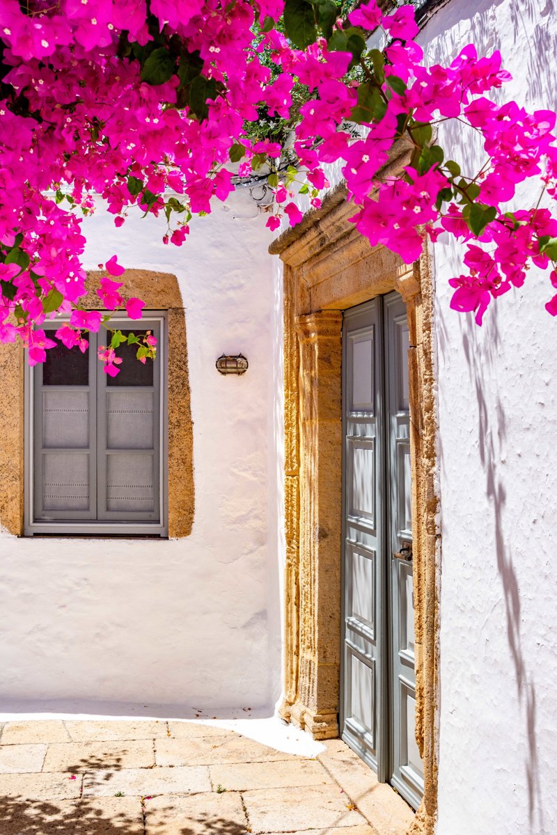 Χορταστική εξερεύνηση στη γραφική χώρα