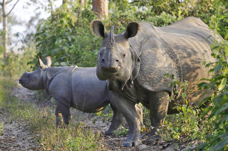 Εθνικό Πάρκο Τσιτουάν 
