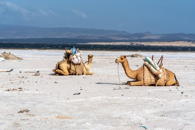 Τζιμπουτί και Σομαλιλάνδη, μια αυθεντική εξερεύνηση στο Κέρας της Αφρικής