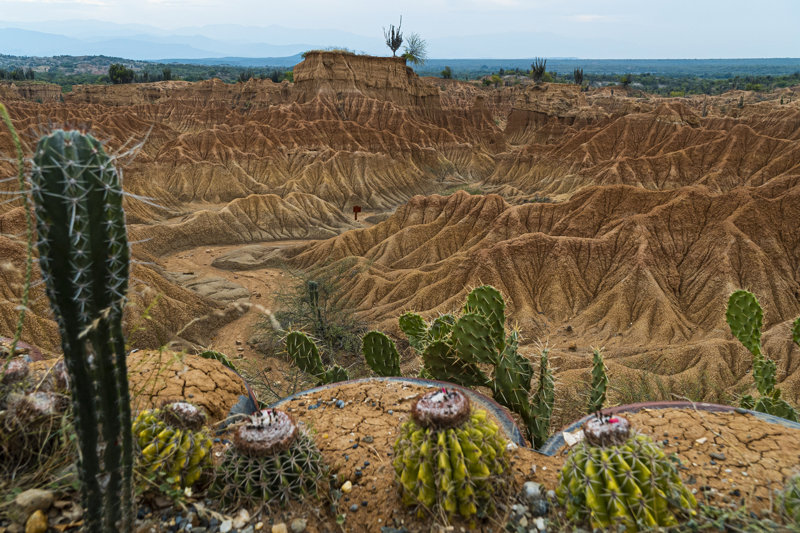 Η εντυπωσιακή έρημος Τατακόα 