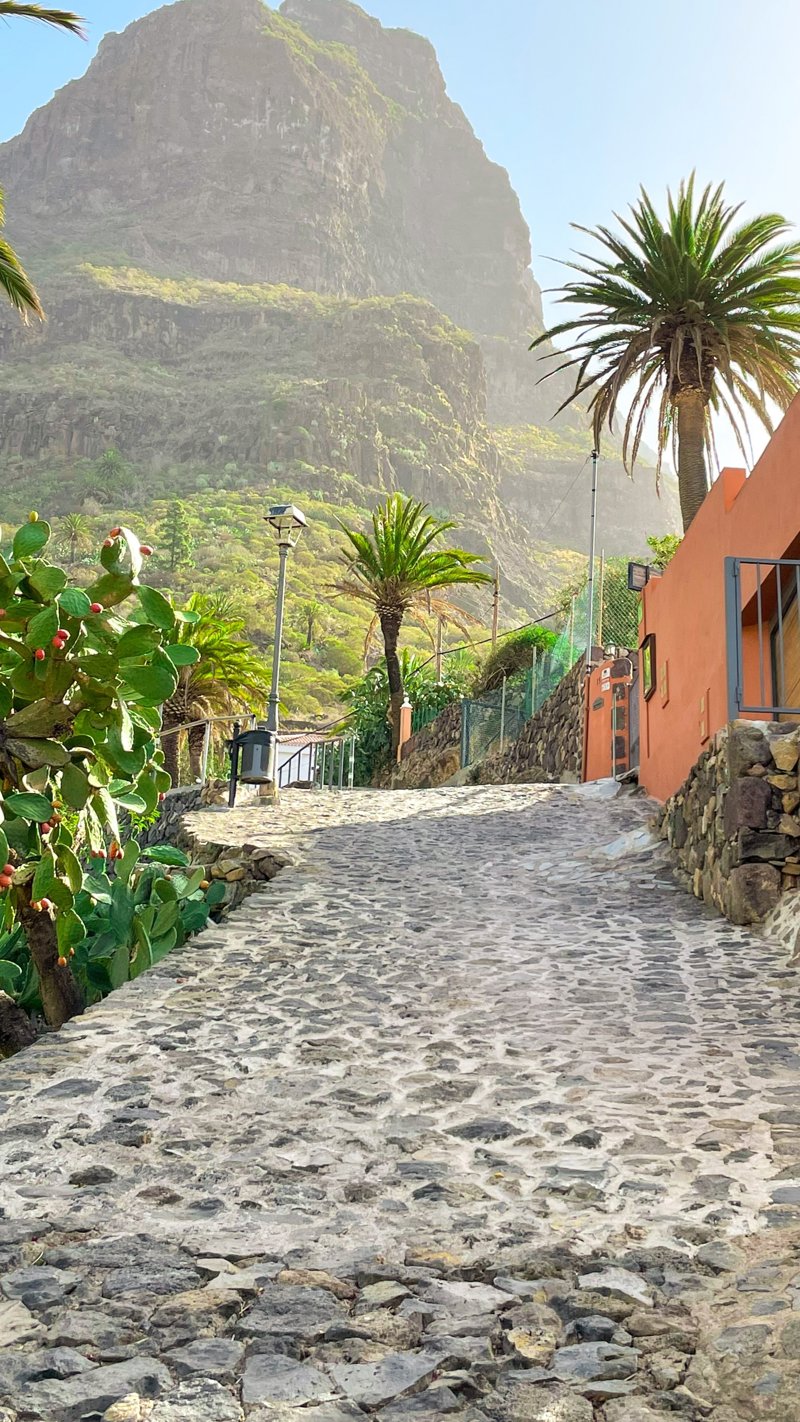Περιηγήσεις σε Τενερίφη και Λας Πάλμας