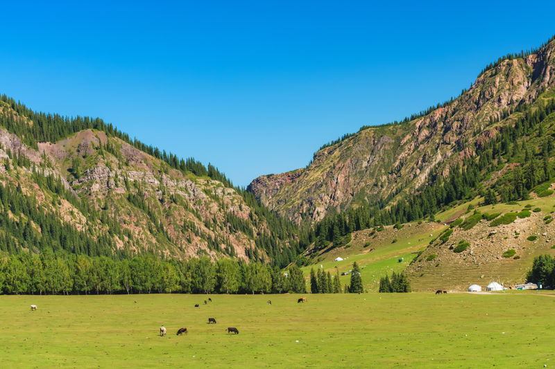 ΚΑΡΑΚΟΛ – Κοιλάδα Αλτίν Αρασάν – ΚΑΡΑΚΟΛ Οδική διαδρομή 30 χλμ.