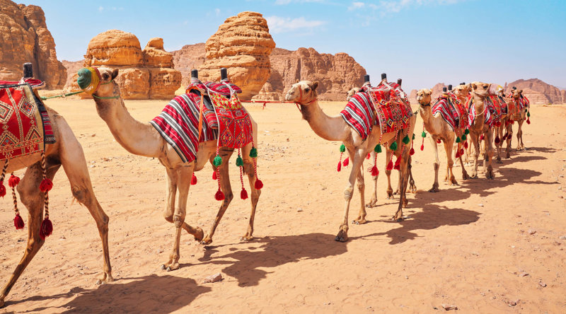 Ο Δρόμος του Λιβανιού 