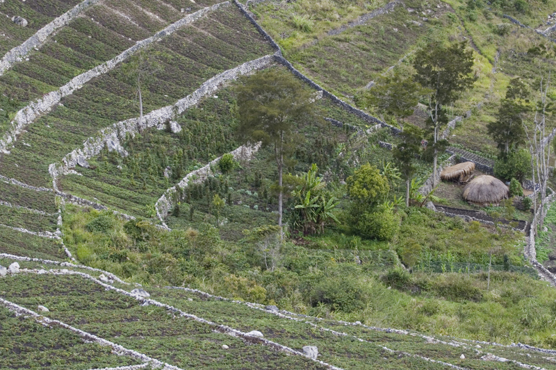 Γνωριμία με το Μάουντ Χάγκεν