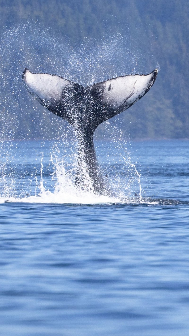 Διαδρομή του φημισμένου Εσωτερικού Διαύλου