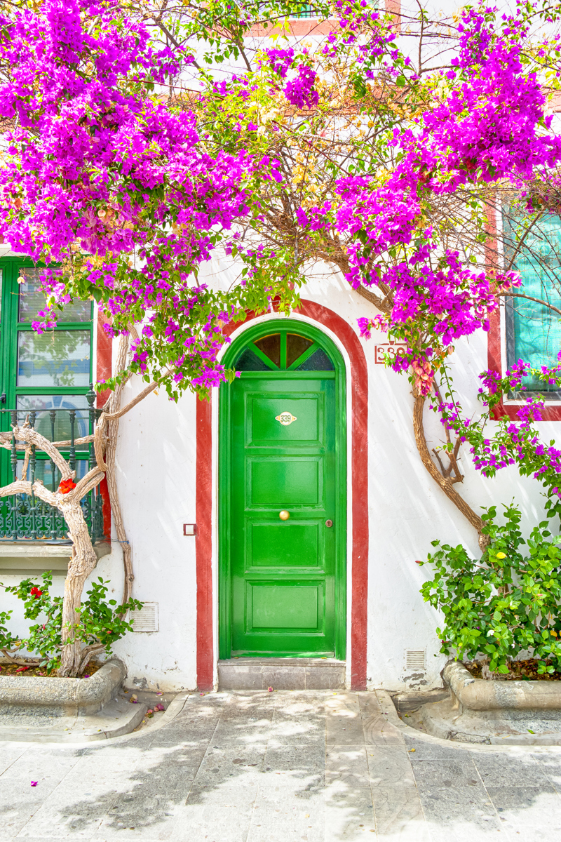 ΛΑΣ ΠΑΛΜΑΣ (Γκραν Κανάρια): εκδρομή σε  Πουέρτο Μογκάν – Μασπαλόμας – Τερόρ – Αρούκας