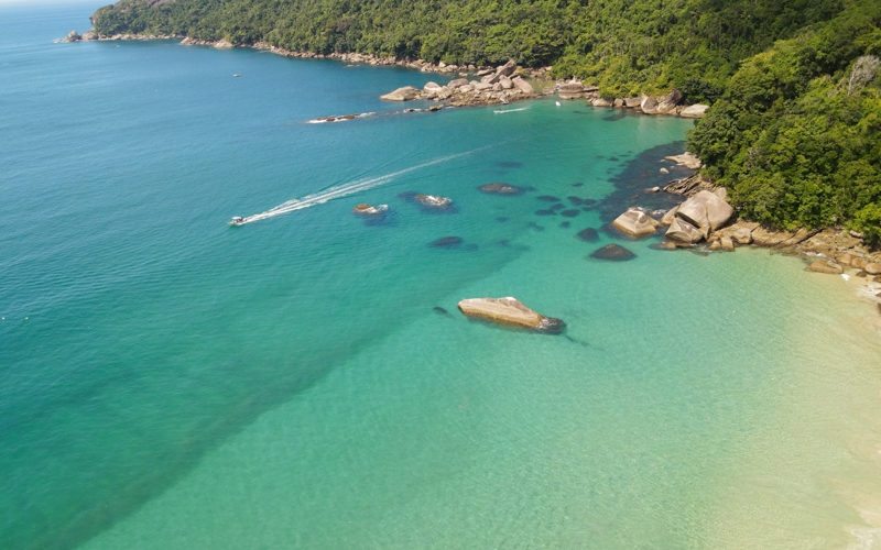 Κάισα ντ΄  Ασό, Βραζιλία