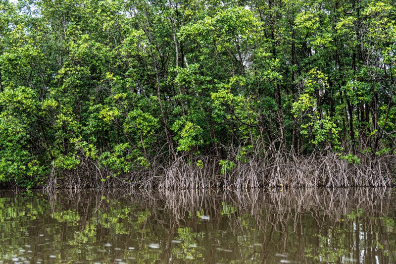 Βαρκάδα στον ποταμό Πρεγκίσας