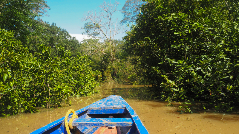 Βόλτα με κανό στη λίμνη Ciénaga de Juan Polo