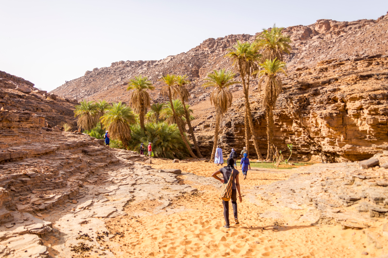 Απολαμβάνουμε οάσεις