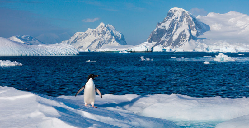 Αποβίβαση από την ΚΡΟΥΑΖΙΕΡΑ ΣΤΗΝ ΑΝΤΑΡΚΤΙΚΗ – ΟΥΣΟΥΑΪΑ – ΜΠΟΥΕΝΟΣ ΑΪΡΕΣ