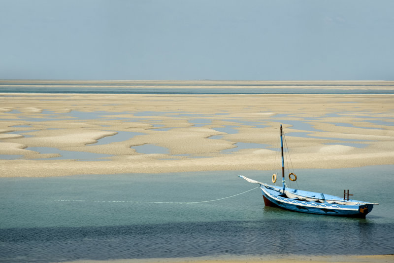 ΜΑΠΟΥΤΟ – ΠΤΗΣΗ ΓΙΑ ΑΝΤΙΣ ΑΜΠΕΜΠΑ 