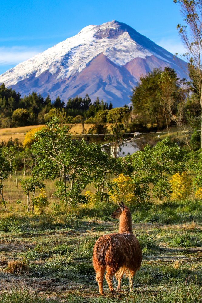 Γνωρίζουμε τον Εθνικό Δρυμό Κοτοπάξι
