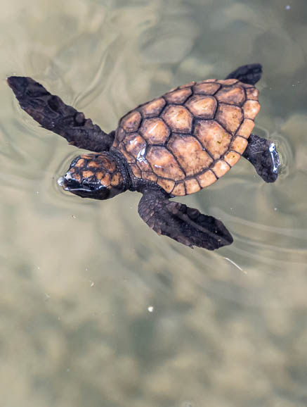 Ιδιαίτερες δραστηριότητες μόνο στο Versus!