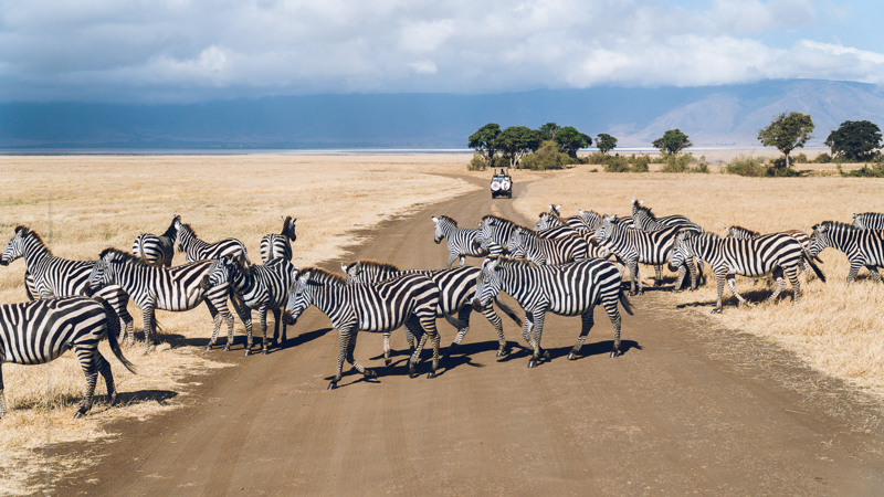 Εθνικό Πάρκο Σερενγκέτι, Τανζανία