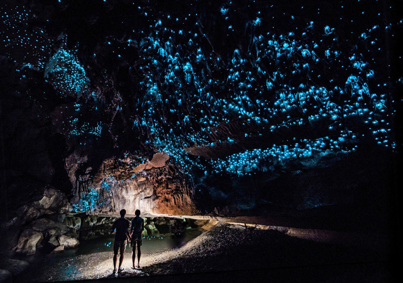 Οι πυγολαμπιδες στα σπήλαια Γουαϊτόμο