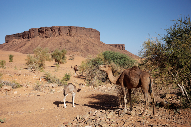 Νουακσότ – Ατάρ – Τσινγκουετί