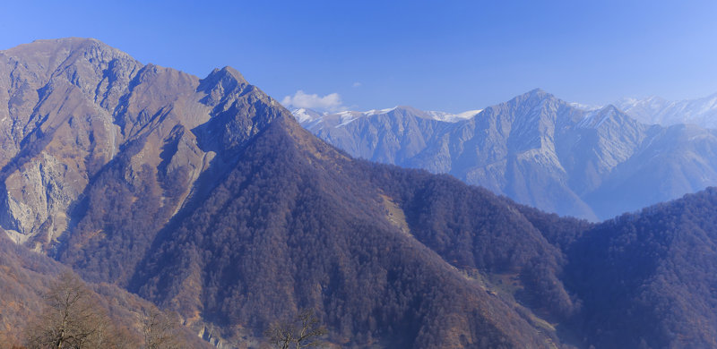 ΣΕΚΙ-ΝΙΤΖ-ΜΠΑΚΟΥ