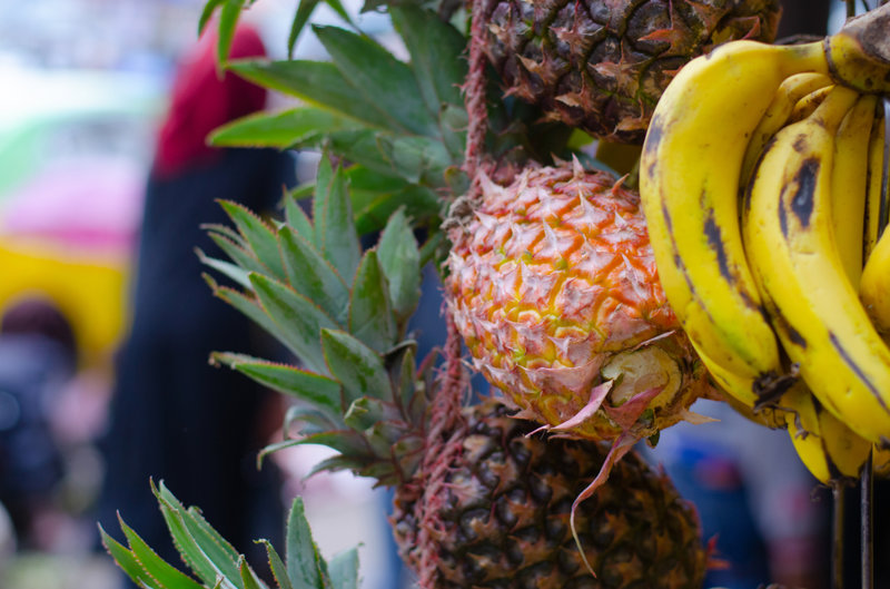 Άρμπα Μιντς