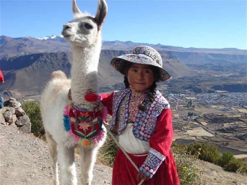 Άφιξη στην ΑΘΗΝΑ/ΘΕΣΣΑΛΟΝΙΚΗ/ΛΑΡΝΑΚΑ