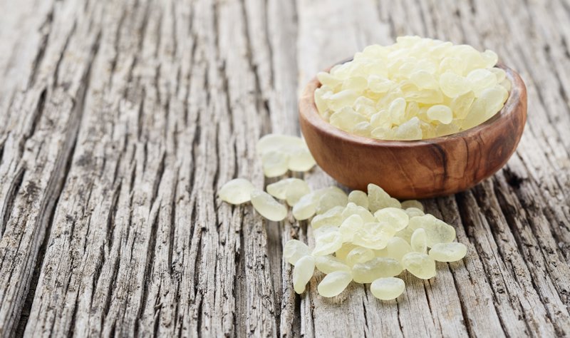 Επίσκεψη στο Μουσείο Μαστίχας