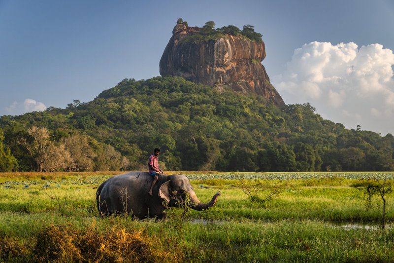 Σιγκιρίγια