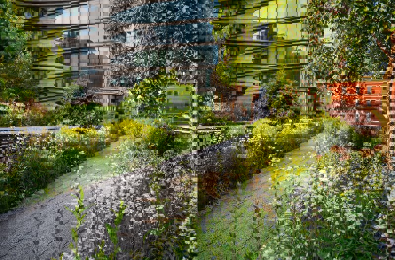 Γνωριμία με τη High Line